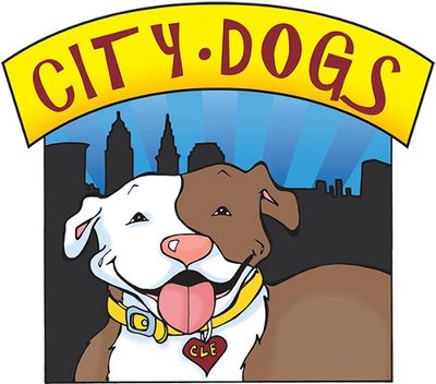 The city and the hot sale dogs